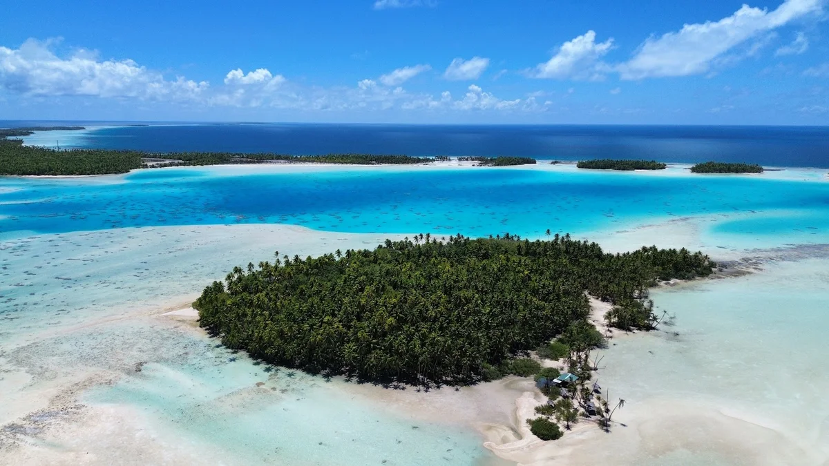 Rairoa Fishing And Tours | What to Know Before You Go