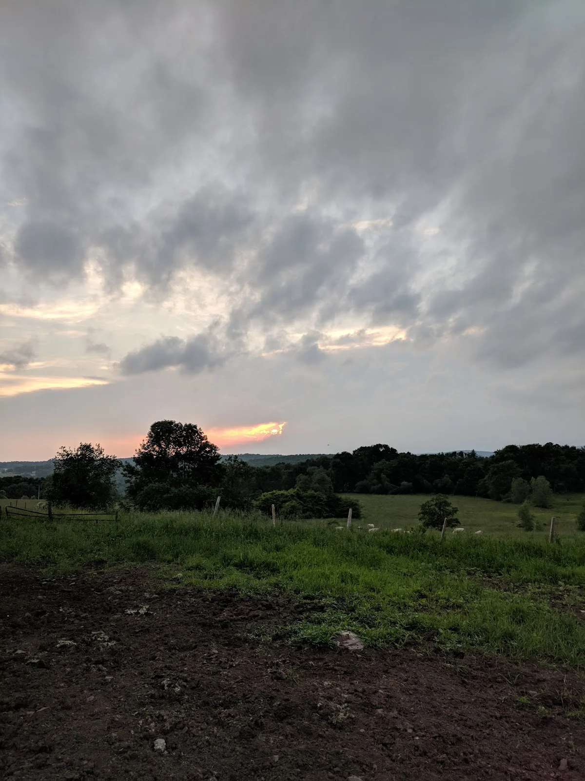 Gorzynski Ornery Farm | What to Know Before You Go