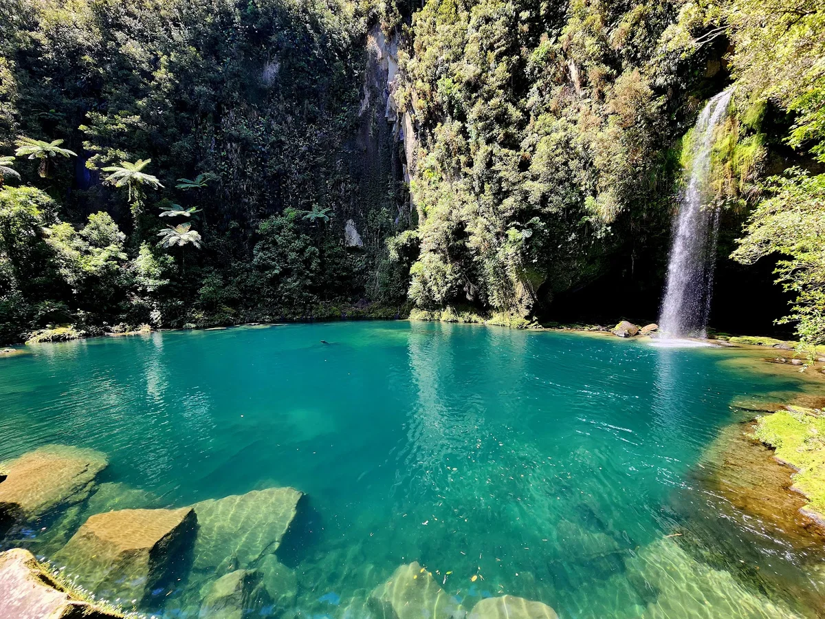 Kaimai Range in Whakamarama - Ask AI | mindtrip