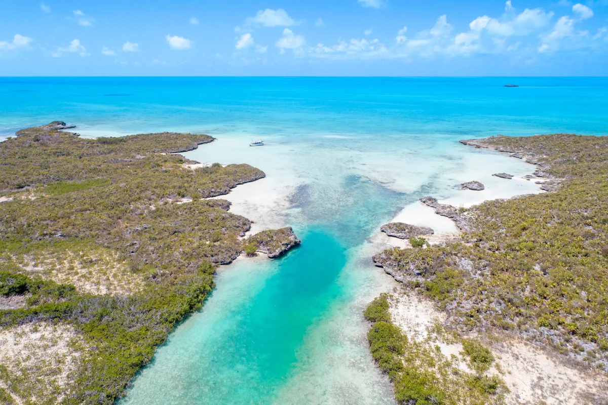 Ocean outback adventures in Turtle Cove - Ask AI | mindtrip