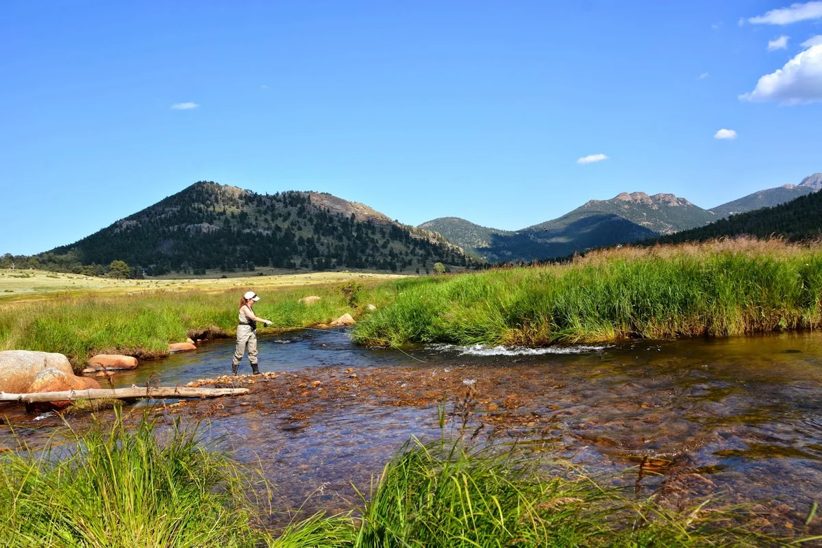 Colorado Wilderness Rides And Guides - Ask AI | mindtrip