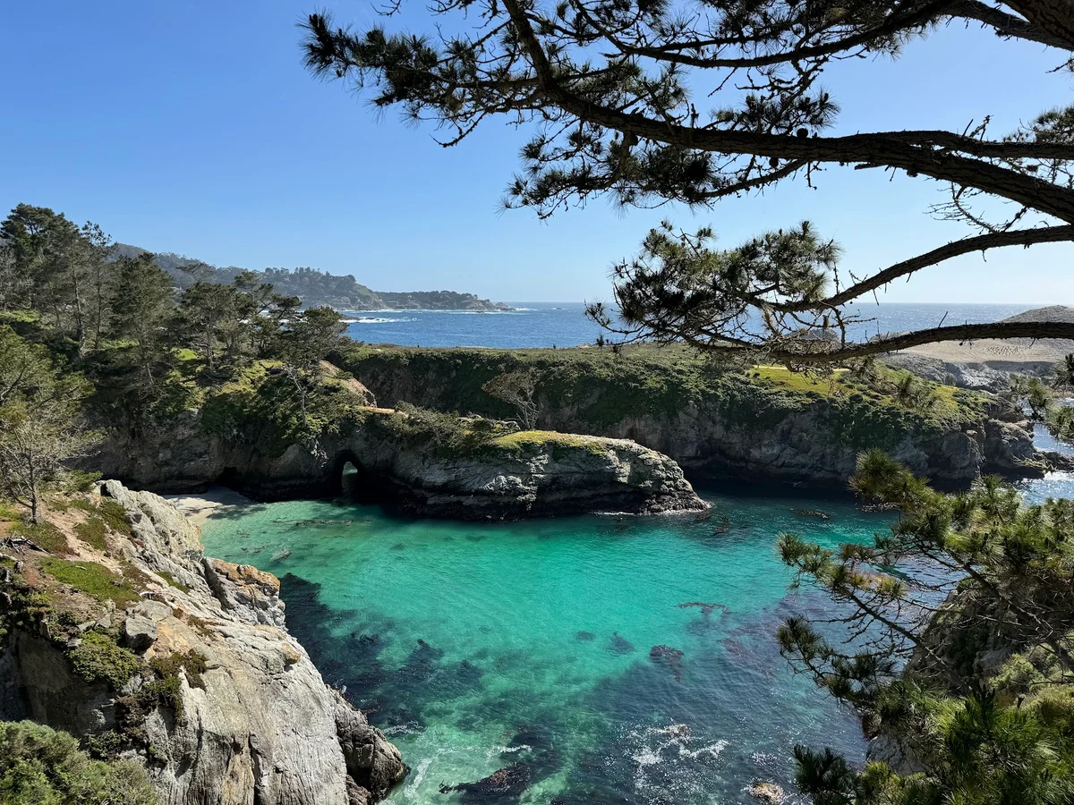 Point Lobos in Carmel, California - Ask AI | mindtrip