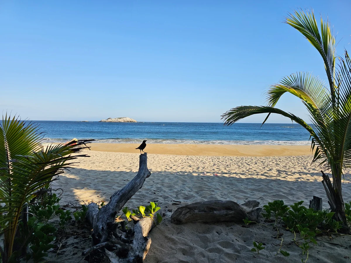 Playa Roca Blanca | What to Know Before You Go