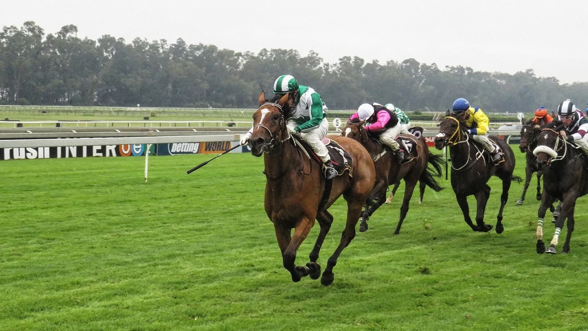 Vaal Racecourse in Vereeniging | What to Know Before You Go