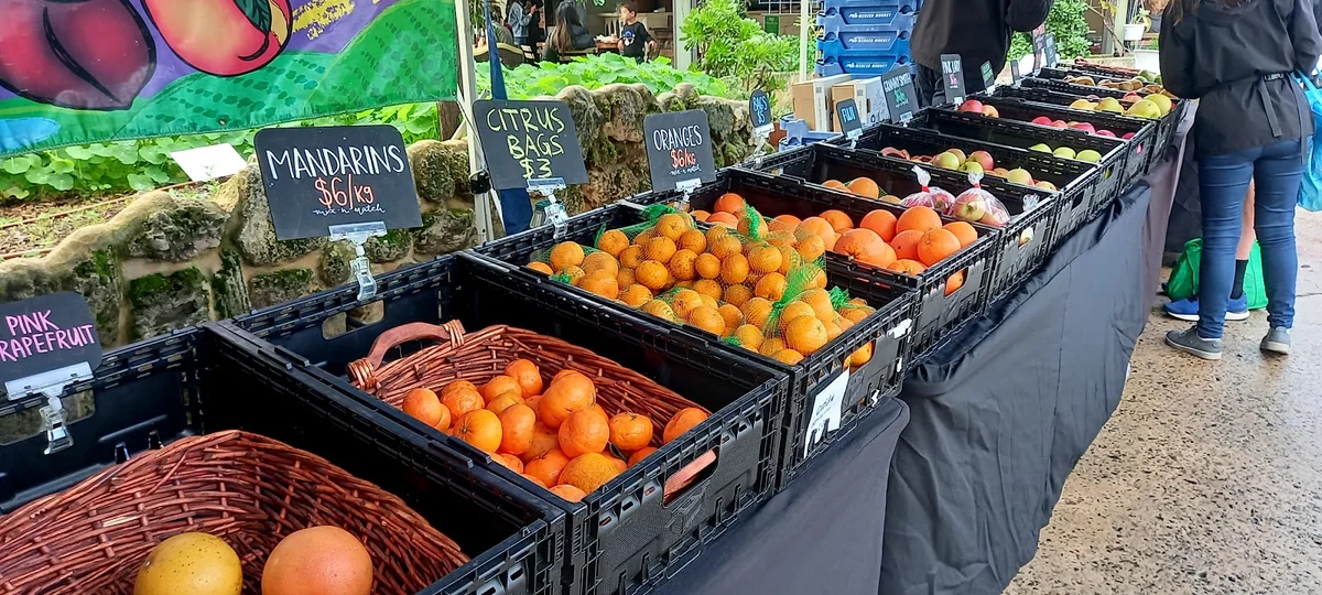 Perth City Farm in Perth - Ask AI | mindtrip