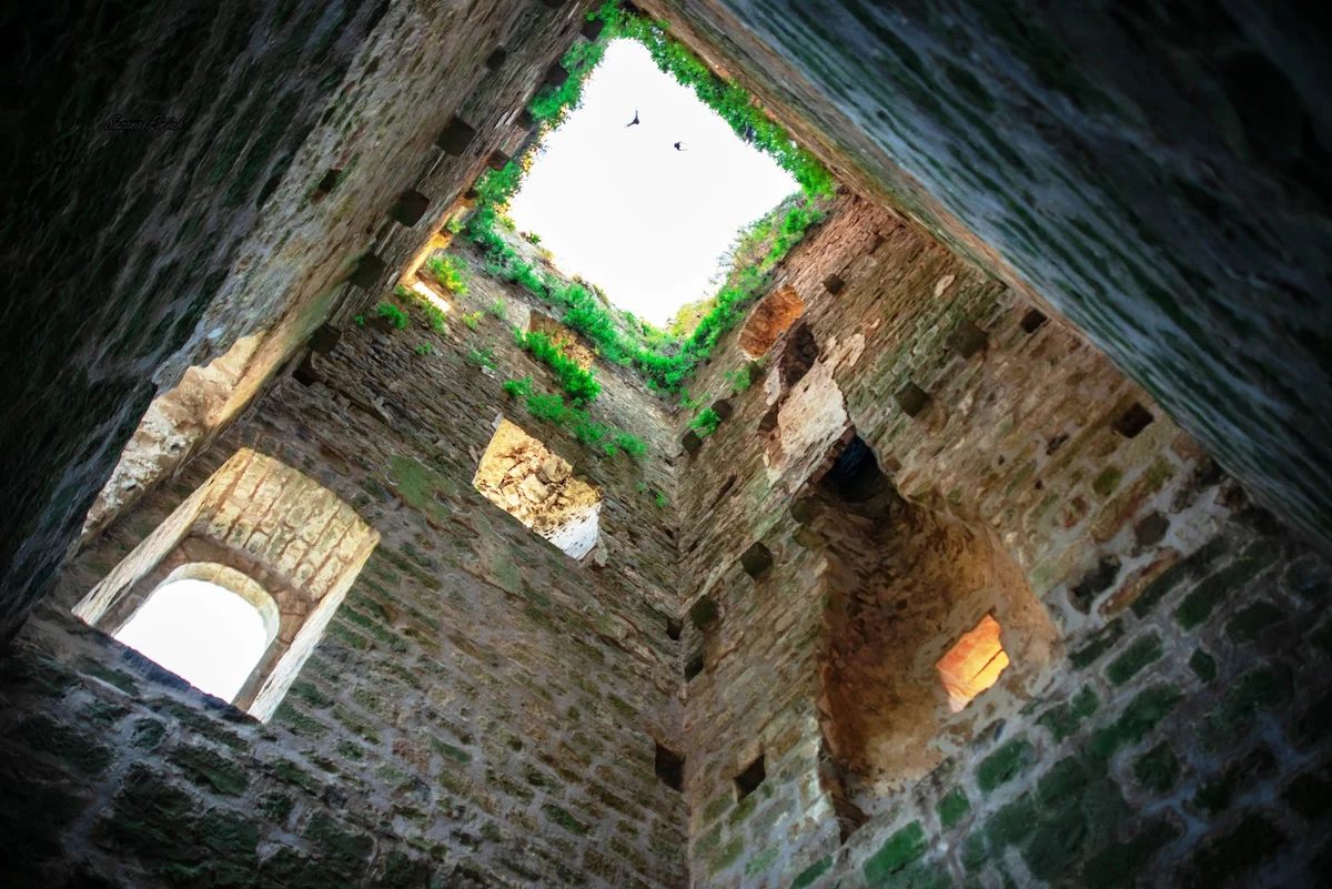 Momjan Castle in Momjan, Istarska županija | Ask Anything
