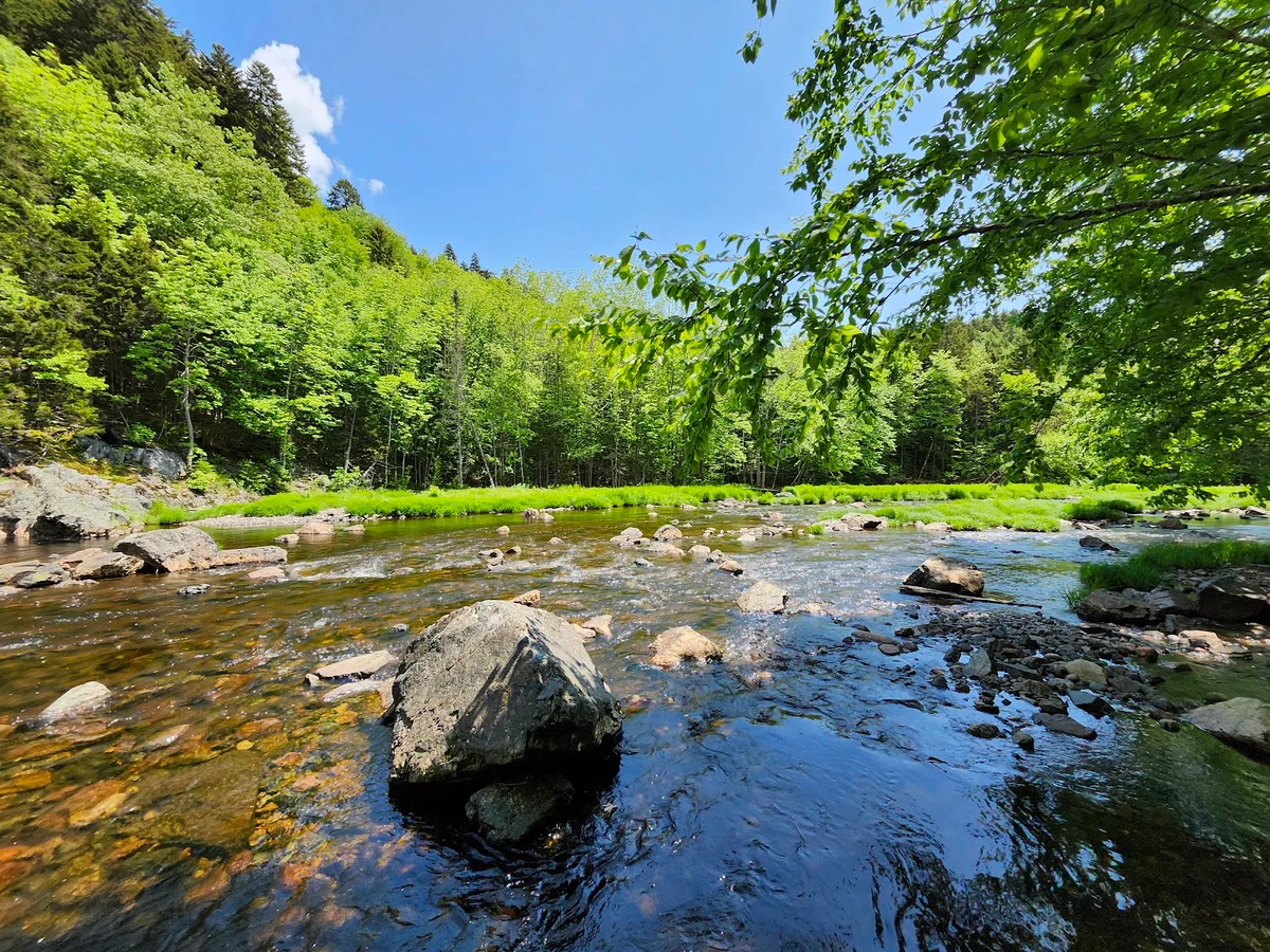 Economy River Wilderness Area | What to Know Before You Go