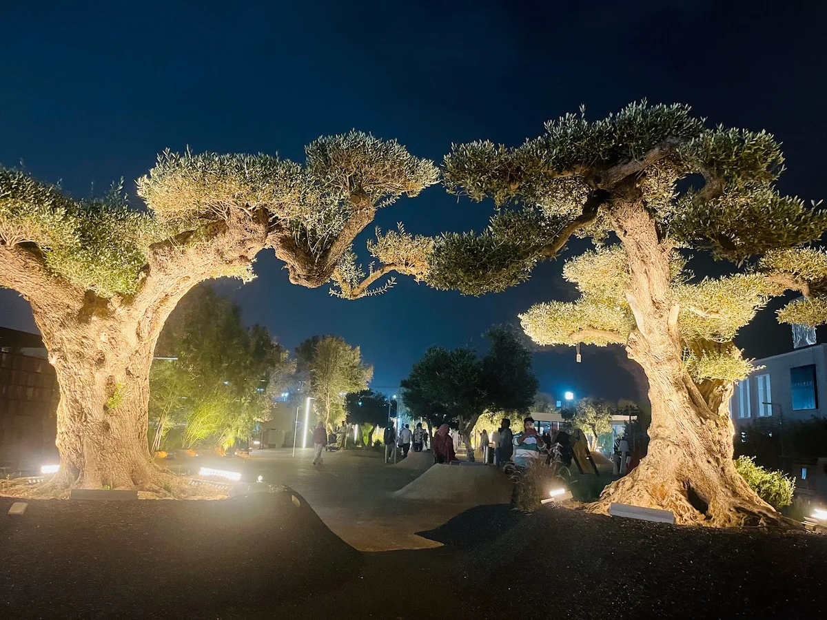 Keturah Reserve in Hatta, Dubai | Ask Anything