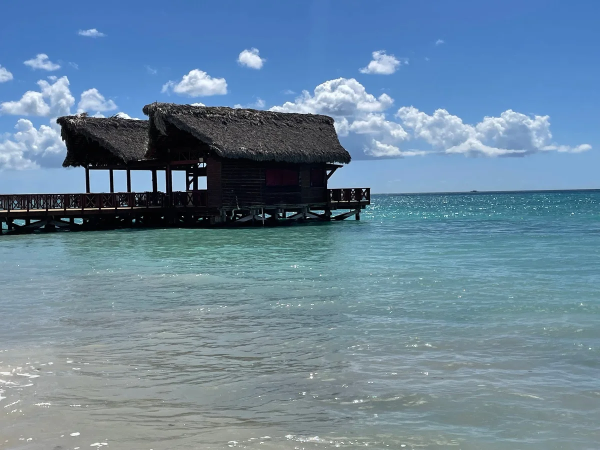 Dominicus Beach in Dominicus - Ask AI | mindtrip