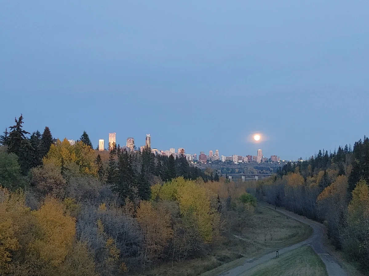 MacKinnon Ravine Park in Edmonton - Ask AI | mindtrip