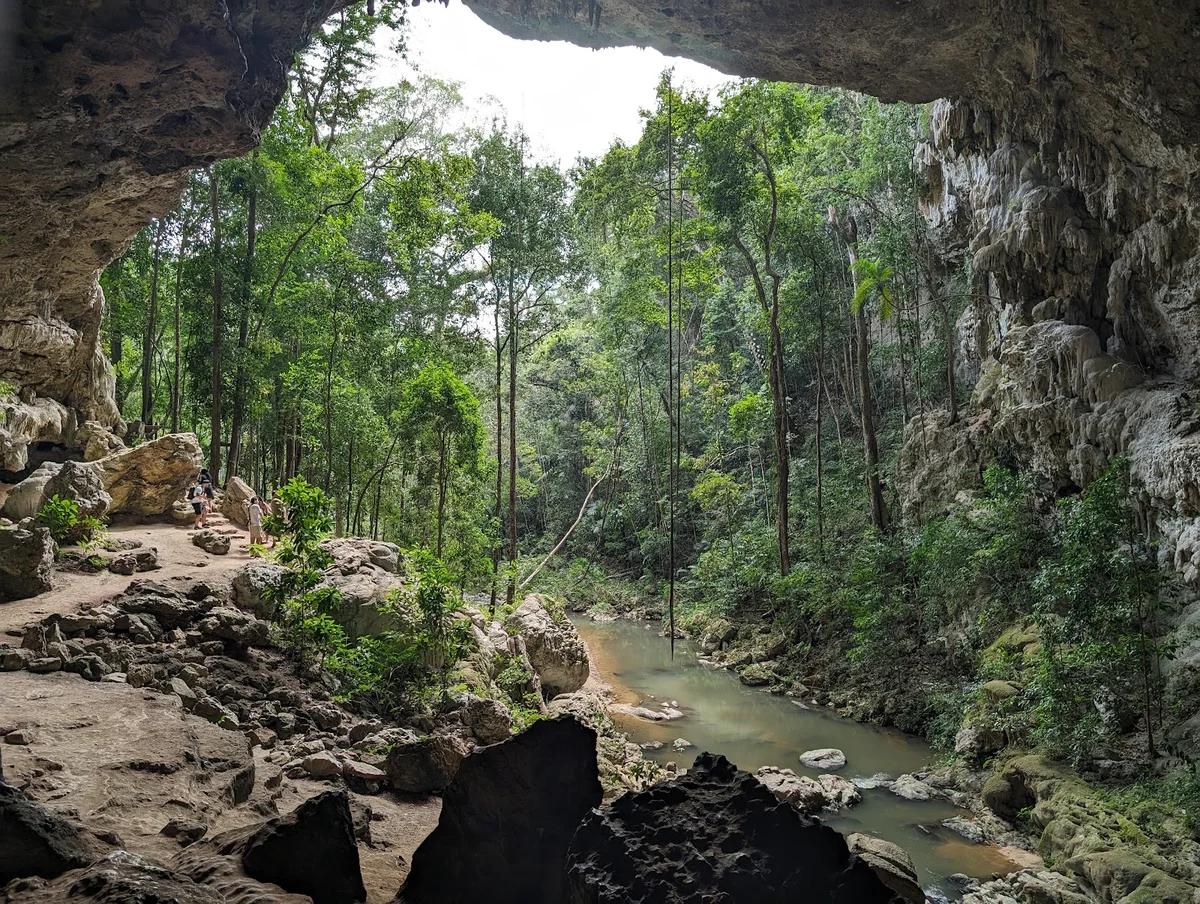 Mountain Pine Ridge Forest Reserve | Ask Anything