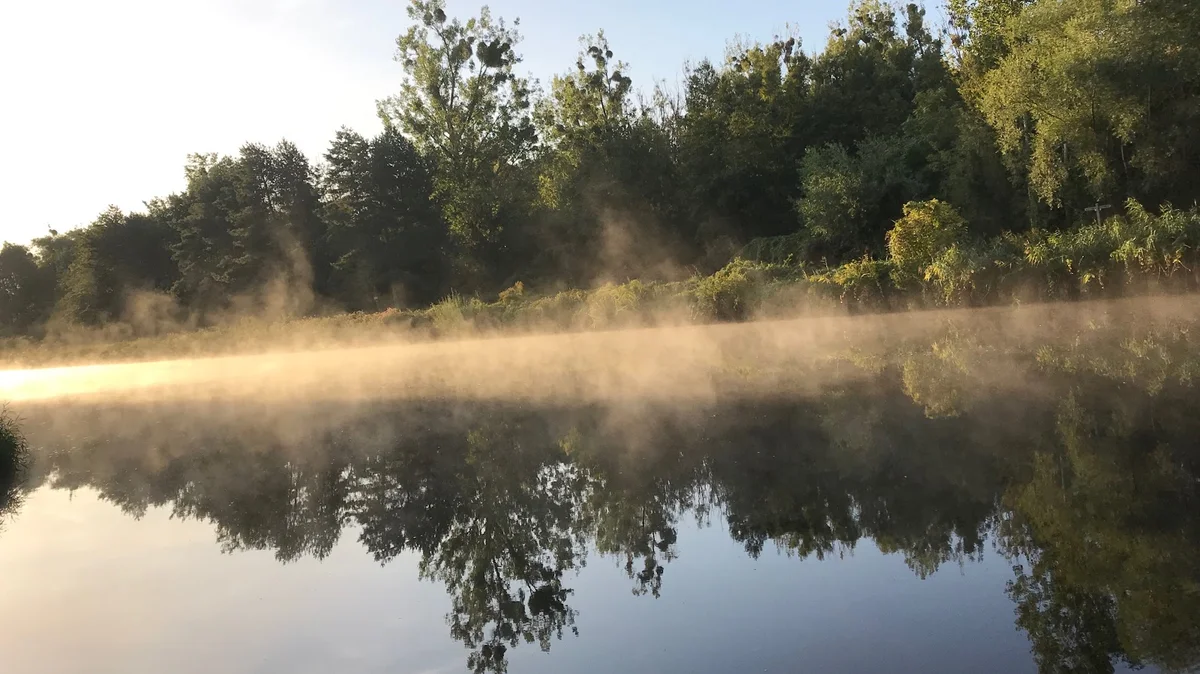 Teltow Canal in Teltow | What to Know Before You Go