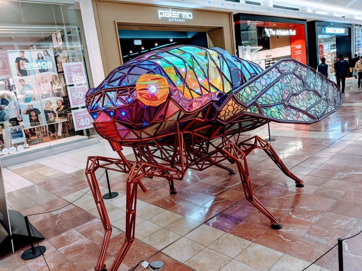Pacific Epping in Epping | What to Know Before You Go