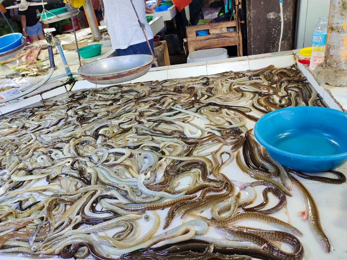 Calamba Public Market in Calamba - Ask AI | mindtrip
