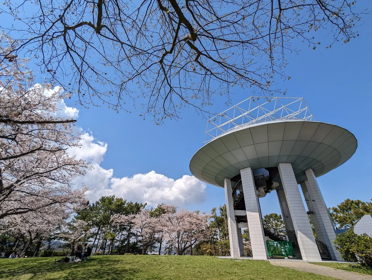 Nojima Park in Yokosuka | What to Know Before You Go