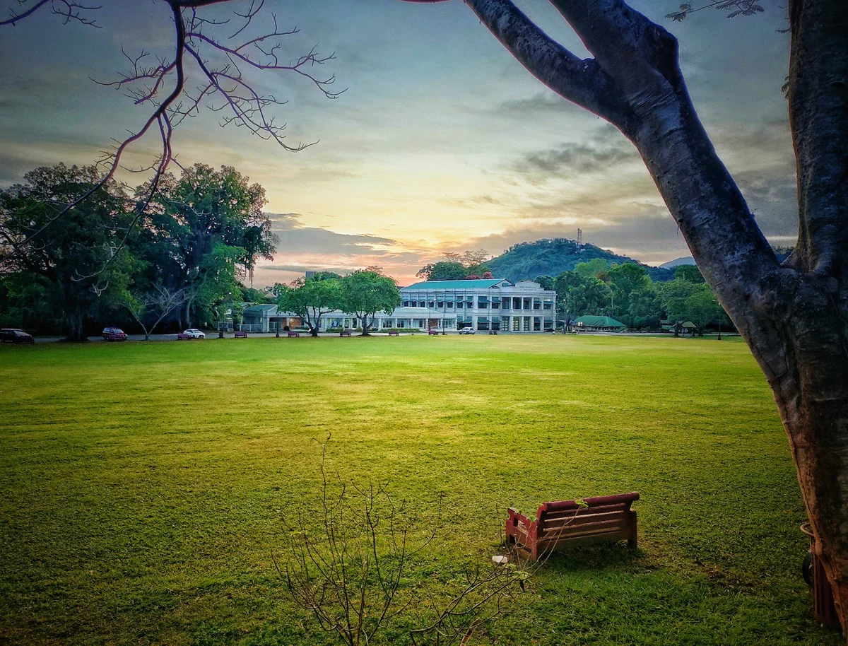 University of the Philippines Los Baños (UPLB)