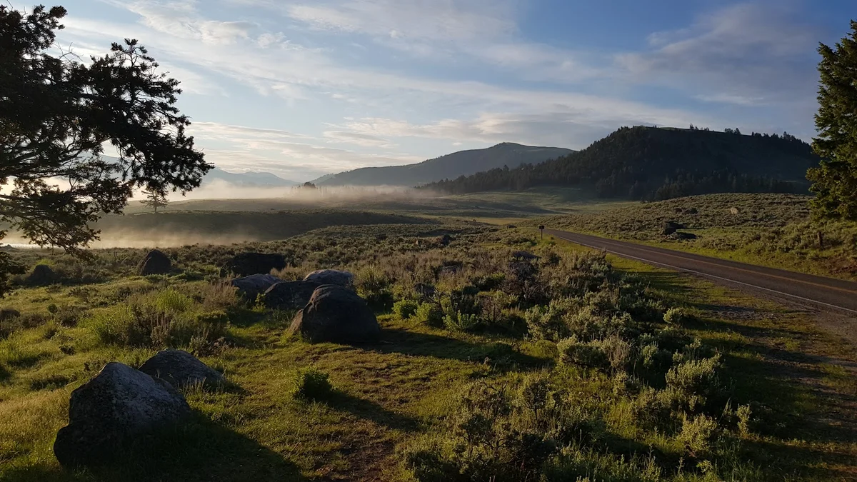 Specimen Ridge Trailhead (2K4) | What to Know Before You Go