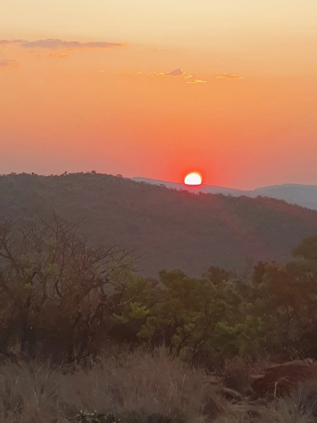 Kamonande Entrance in Vaalwater | What to Know Before You Go