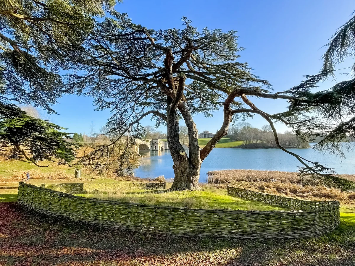 The Harry Potter Tree in Woodstock - Ask AI | mindtrip