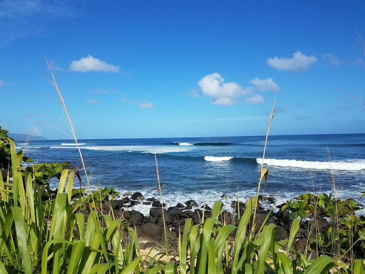 Leftovers Surf Break in Haleiwa, Hawaii | Ask Anything