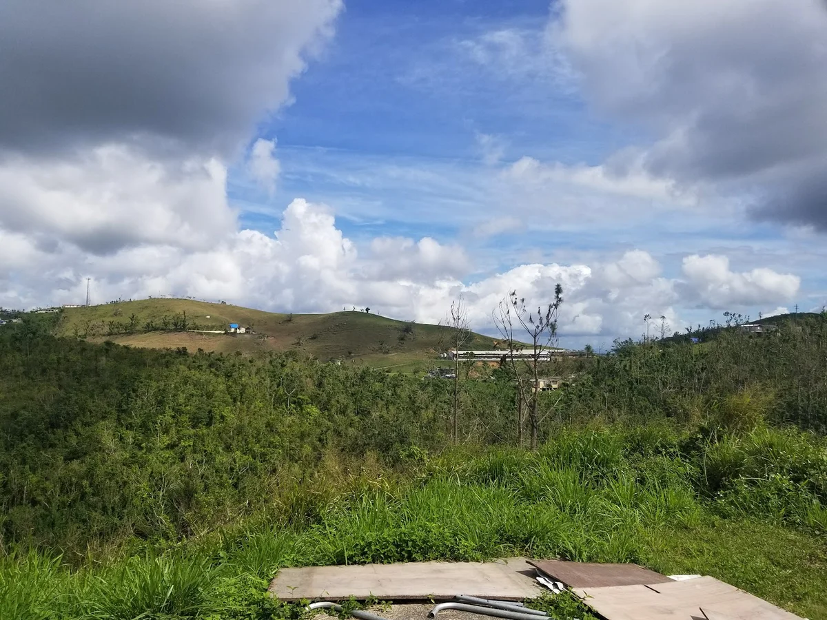 Parque El Rabanal in Aibonito - Ask AI | mindtrip