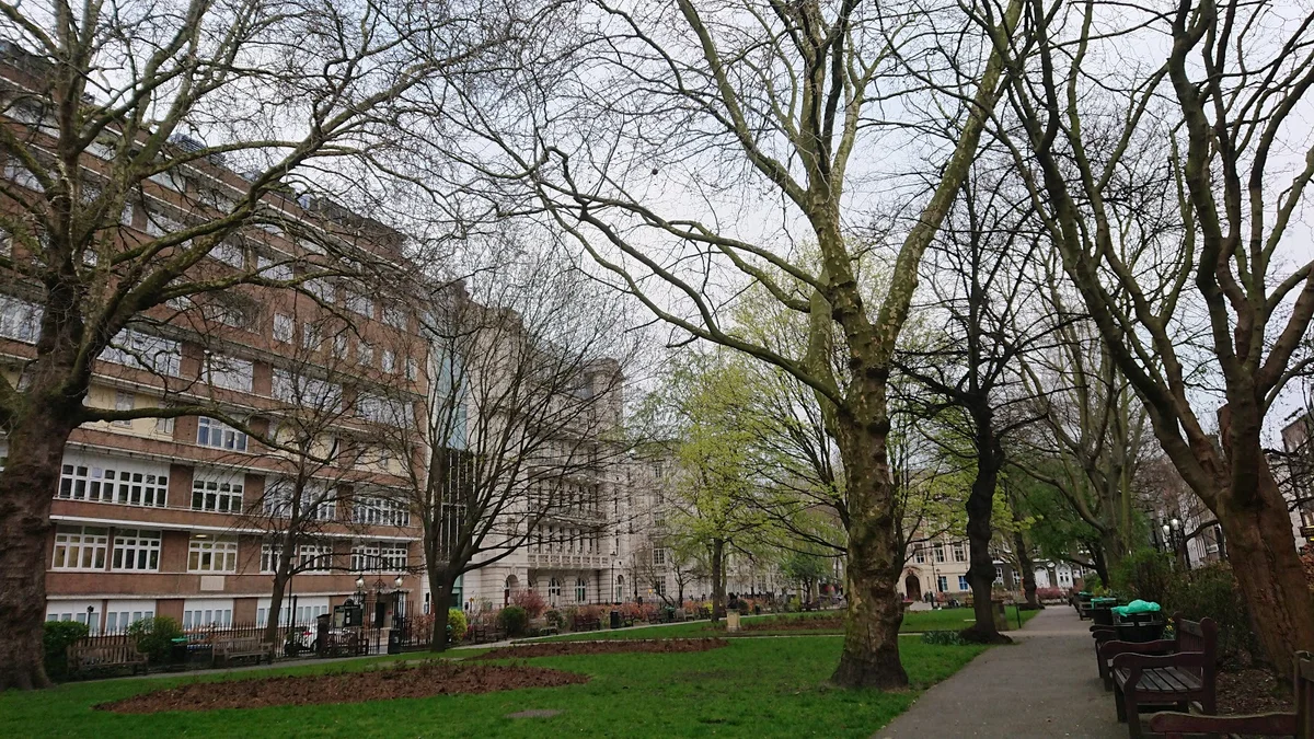 Queen Square in London, England | Ask Anything