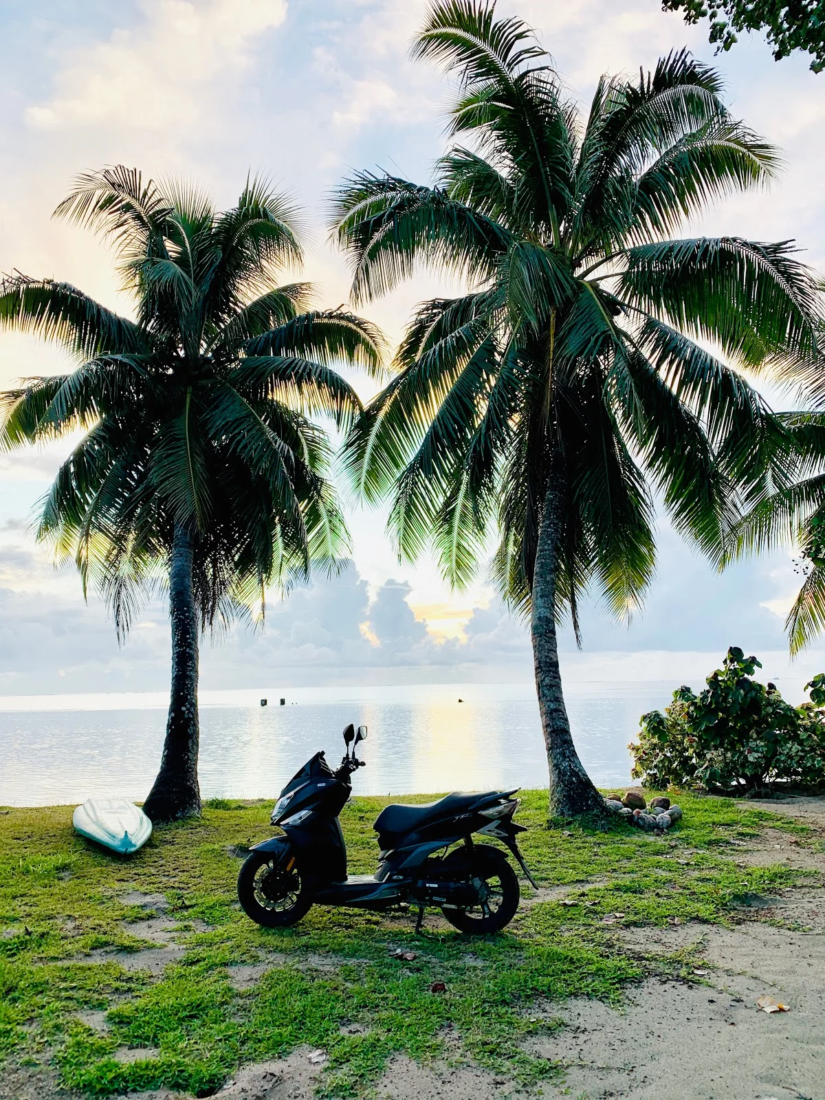 Moorea Scooter / Moorea Car / Moorea Bike