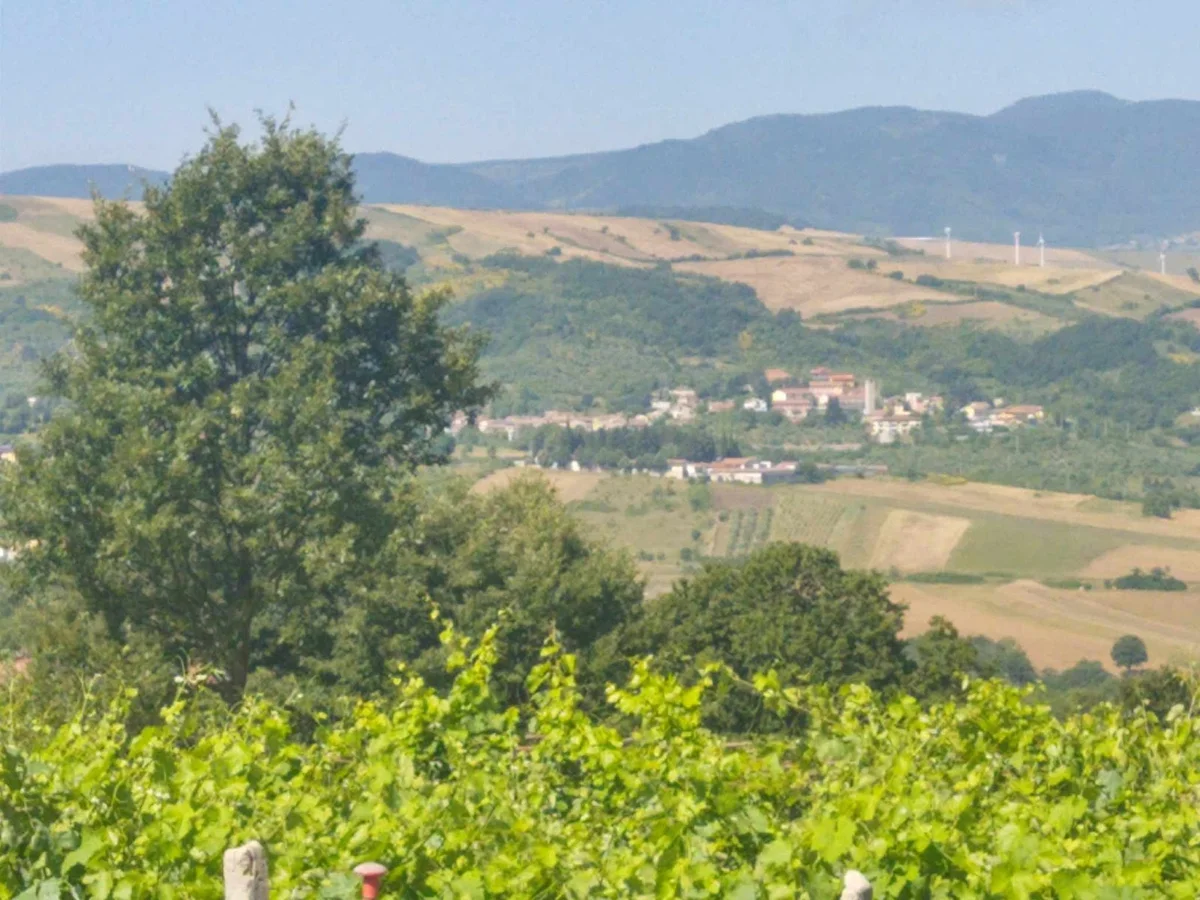 sagra pecorino di filiano in Filiano - Ask AI | mindtrip