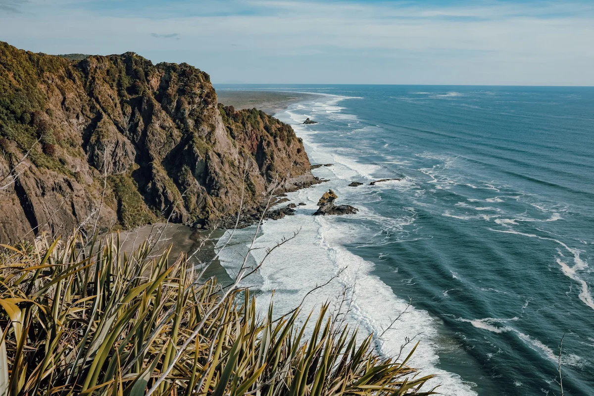 Mercer Bay Loop Walk in Piha, Auckland | Ask Anything