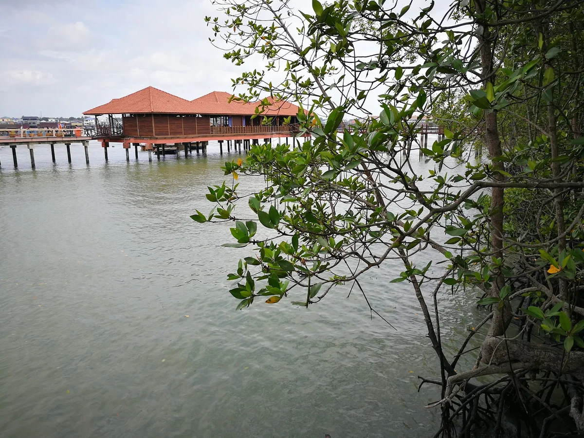 Kukup Island in Singapore | What to Know Before You Go