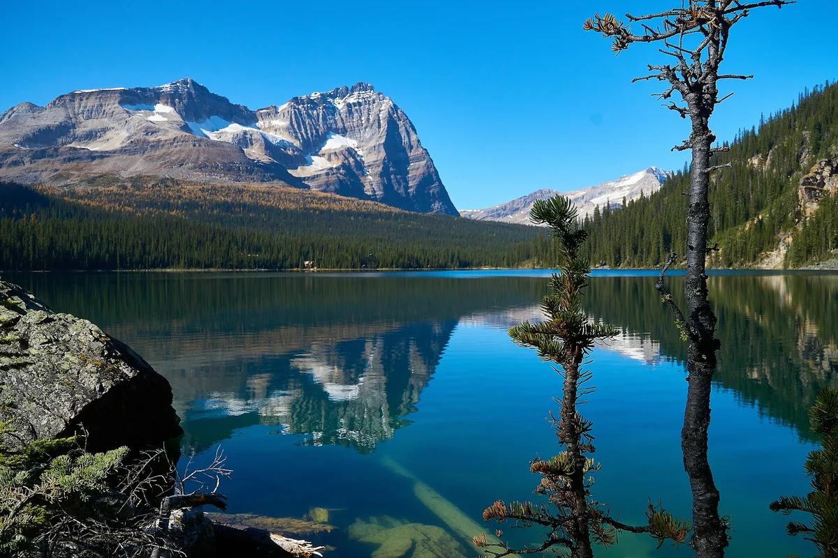 Lake O'Hara in Field | What to Know Before You Go