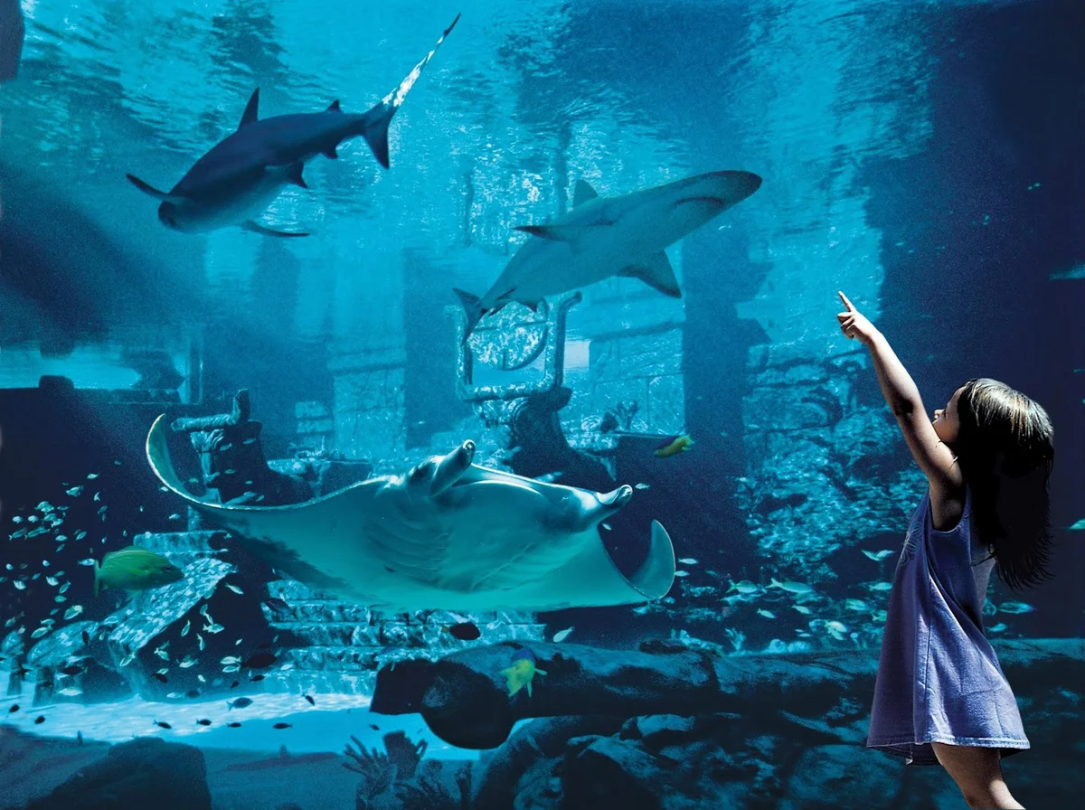 Marine Habitat at Atlantis - Ask AI | mindtrip
