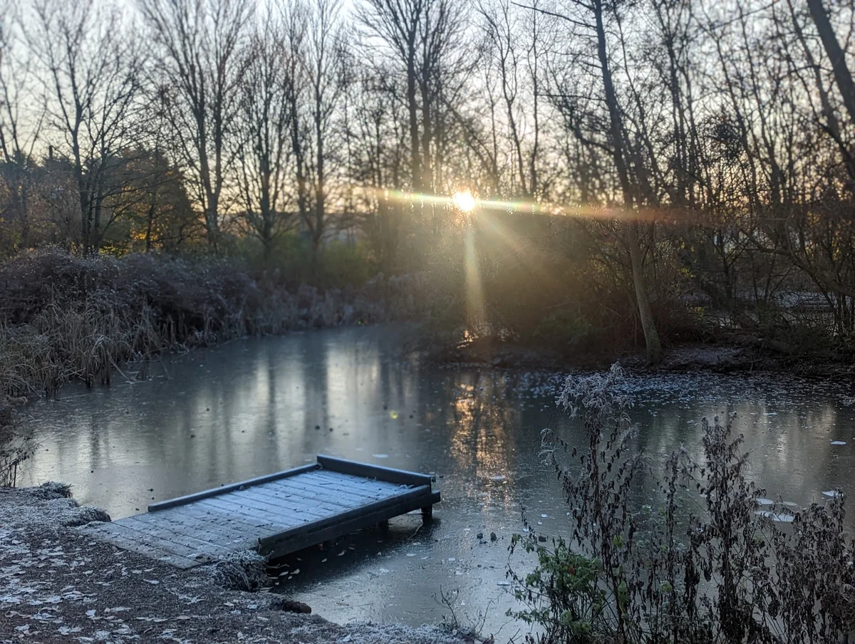 Pinxton Wharf in Pinxton | What to Know Before You Go