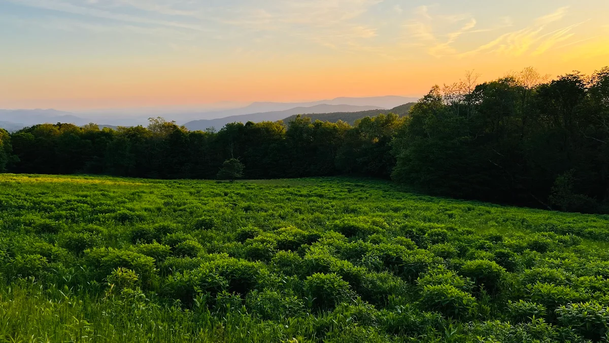 Tanners Ridge Overlook in Stanley - Ask AI | mindtrip