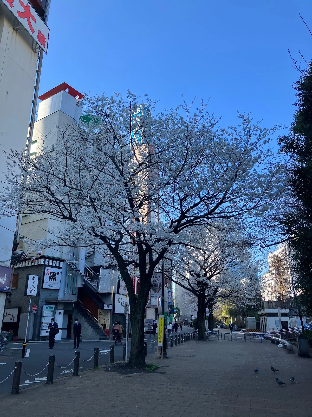 Toshima Kuritsu Ikebukuro Ekimae Park | Ask Anything