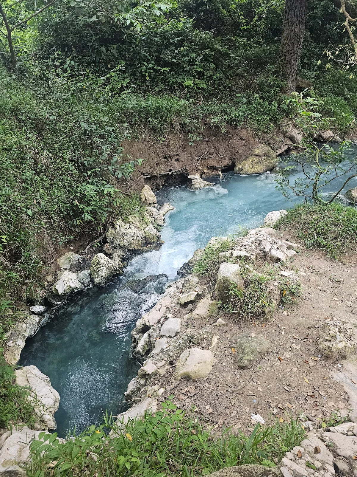 Arroyo Zacate in Veracruz - Ask AI | mindtrip