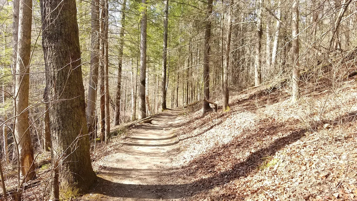 Indian Arch in Pine Ridge, Kentucky - Ask AI | mindtrip