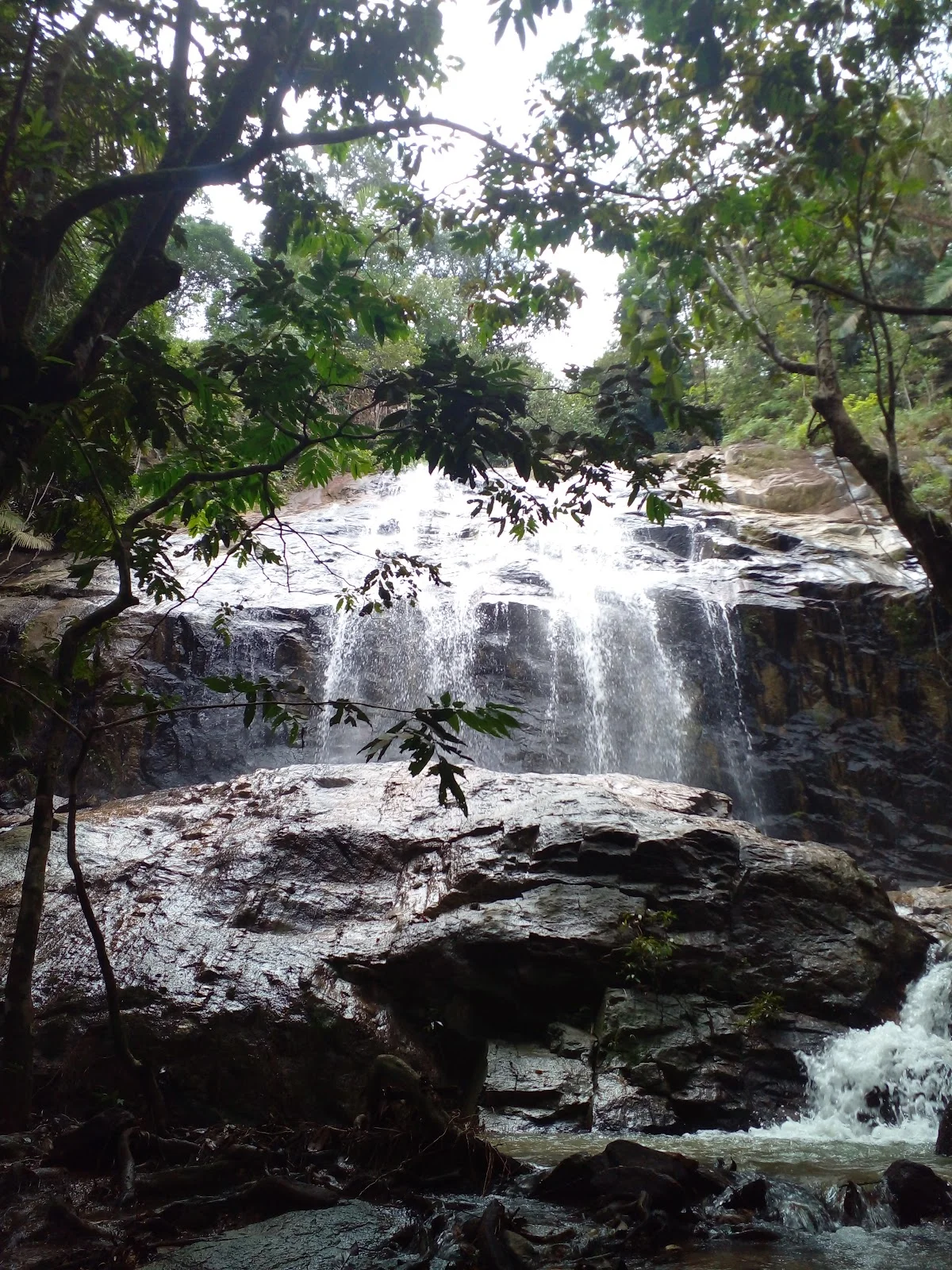 Lata Gapi Waterfall in Serendah | What to Know Before You Go