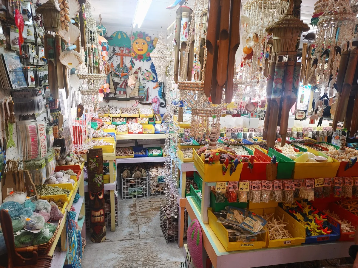 The Florida Shell Shop | What to Know Before You Go