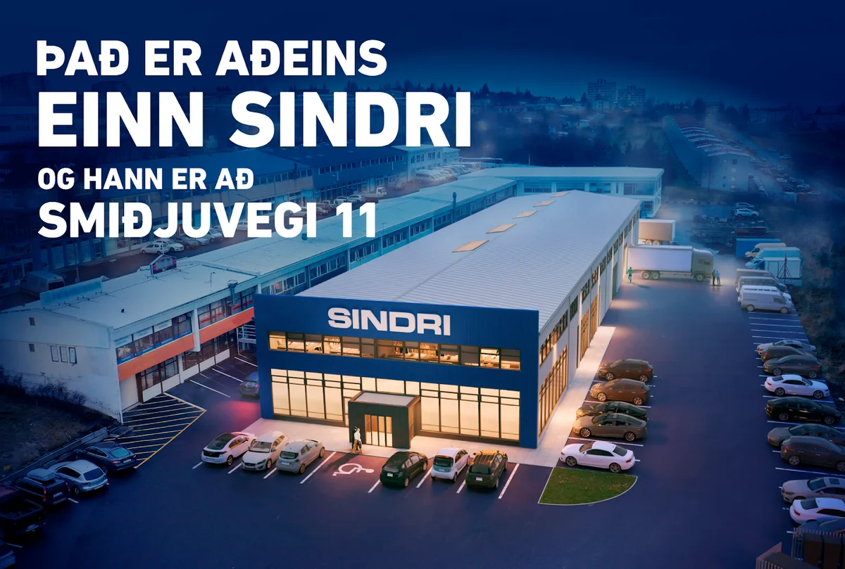 Sindri in Reykjavik | What to Know Before You Go