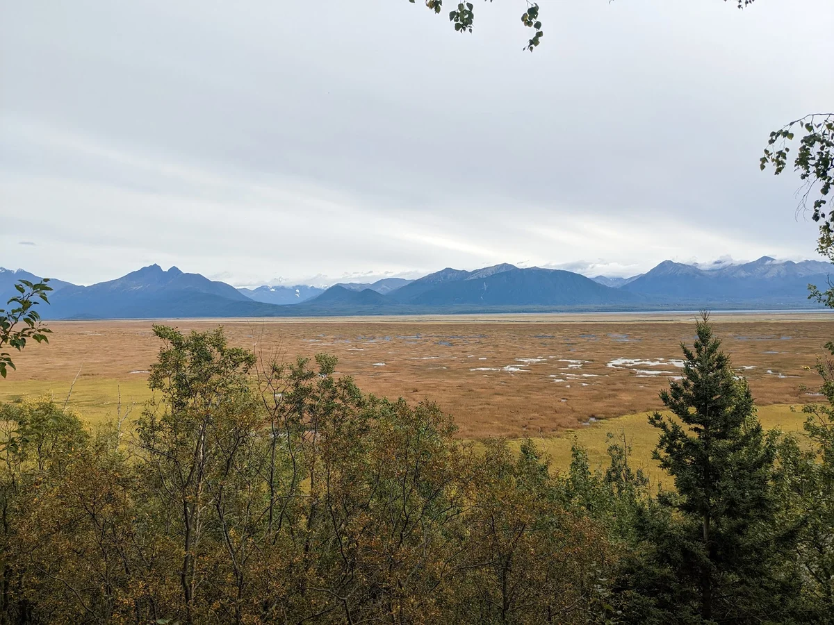 Scout Ridge Loop Trail in Knik-Fairview | Ask Anything