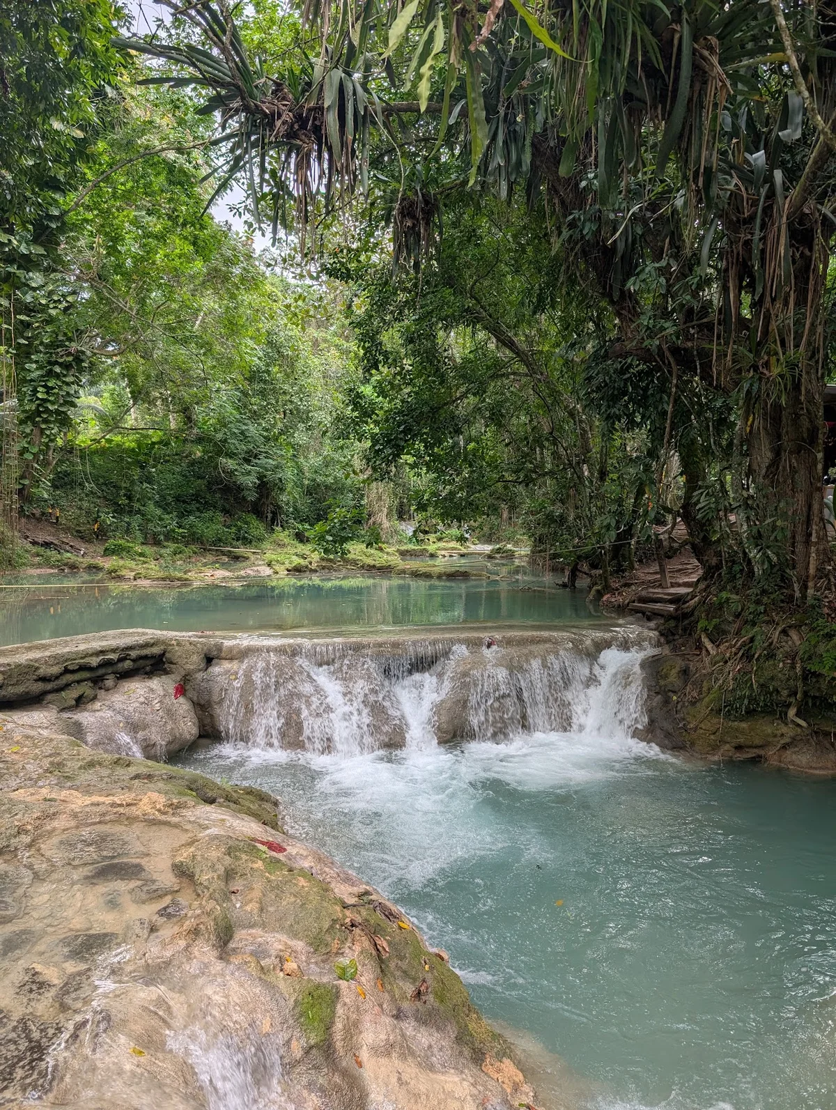 The Original Blue Hole - Ocho Rios- Look out for this sign! Don't be ...