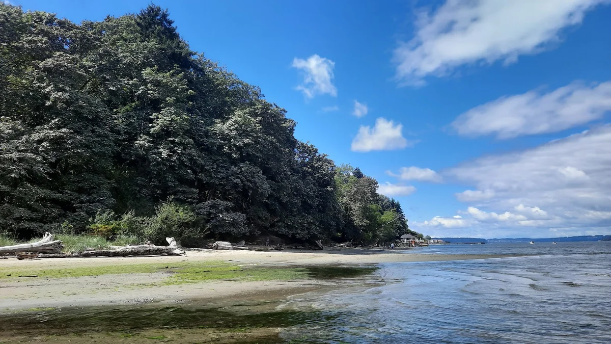 Dash Point State Park | What to Know Before You Go