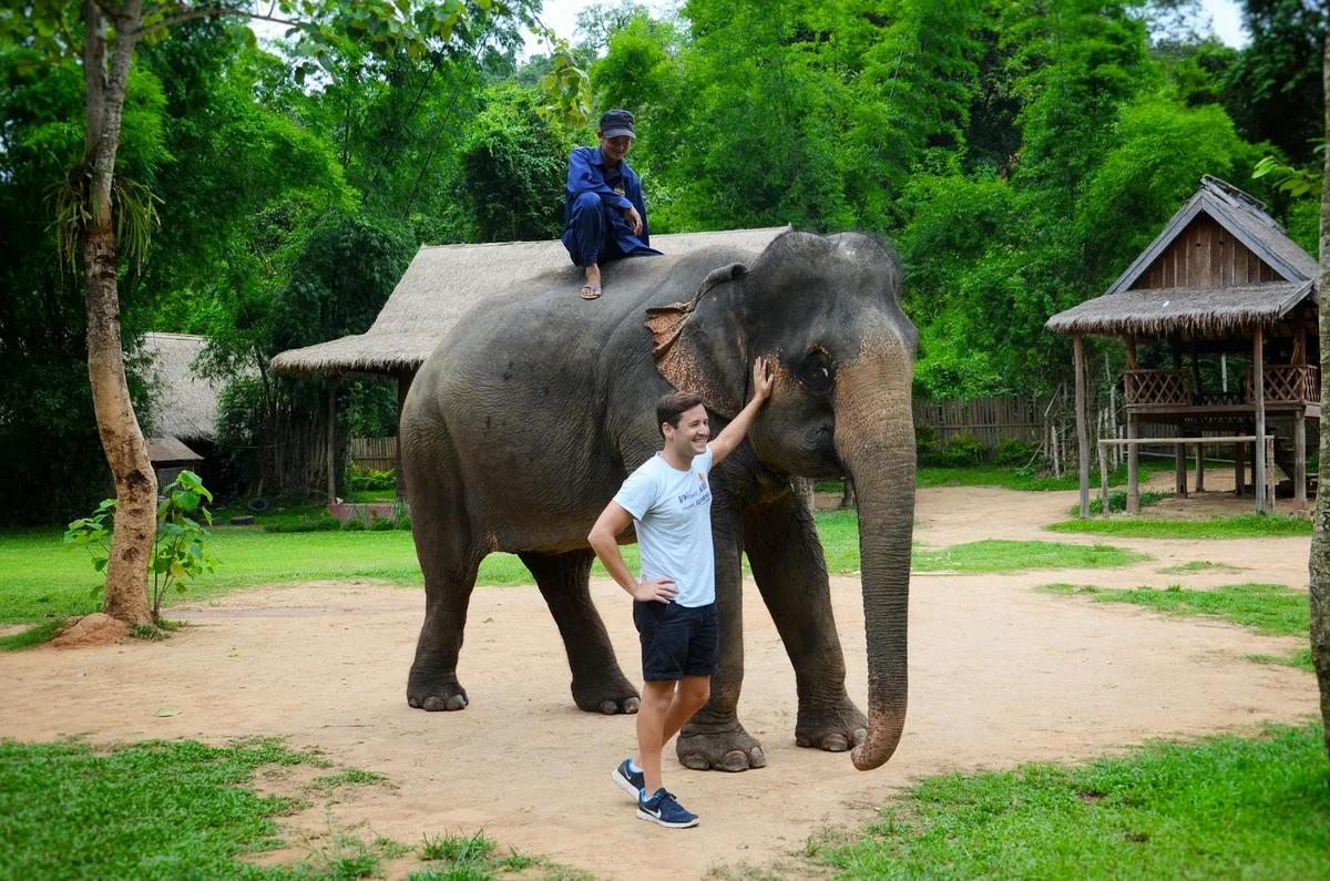 Elephant Village Sanctuary & Resort | Ask Anything