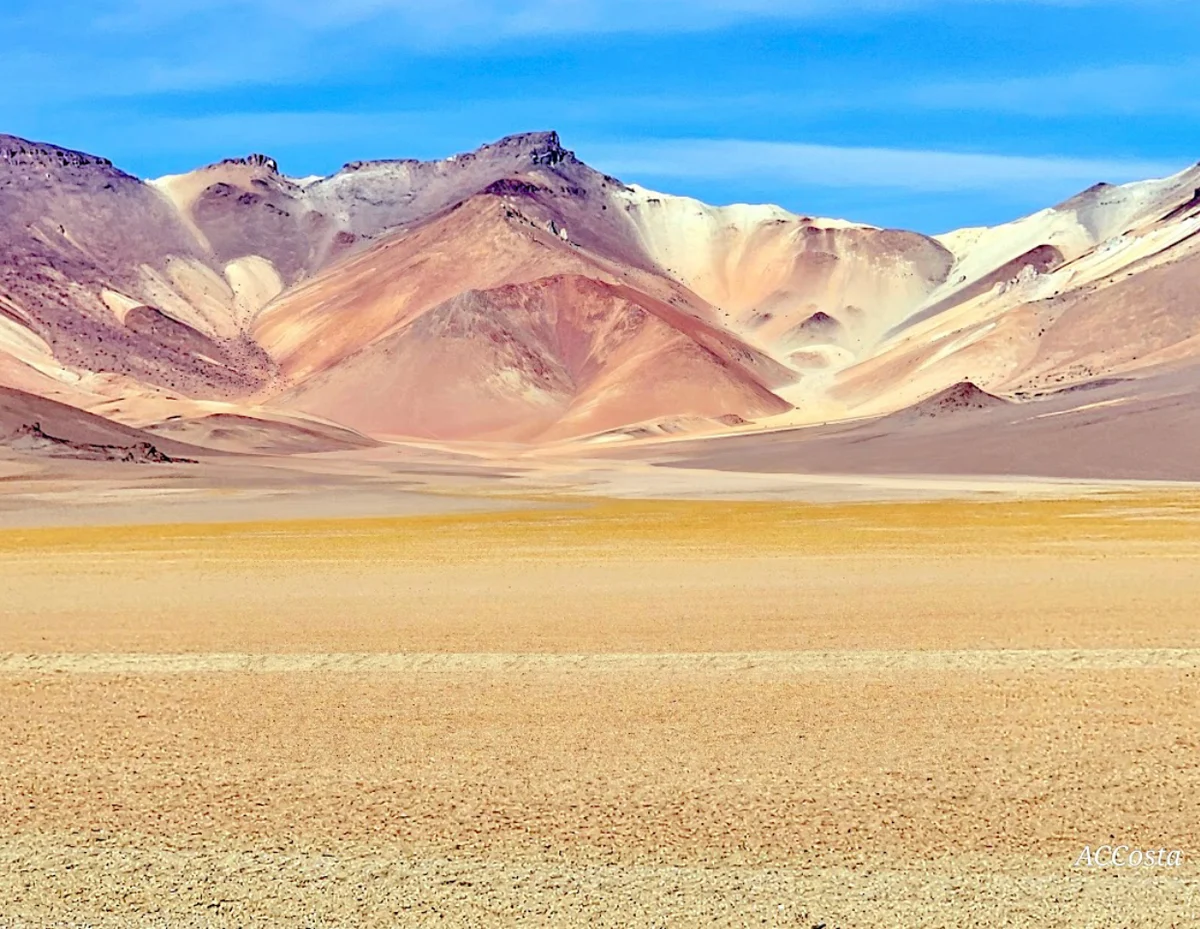 Salvador Dalí Desert | What to Know Before You Go