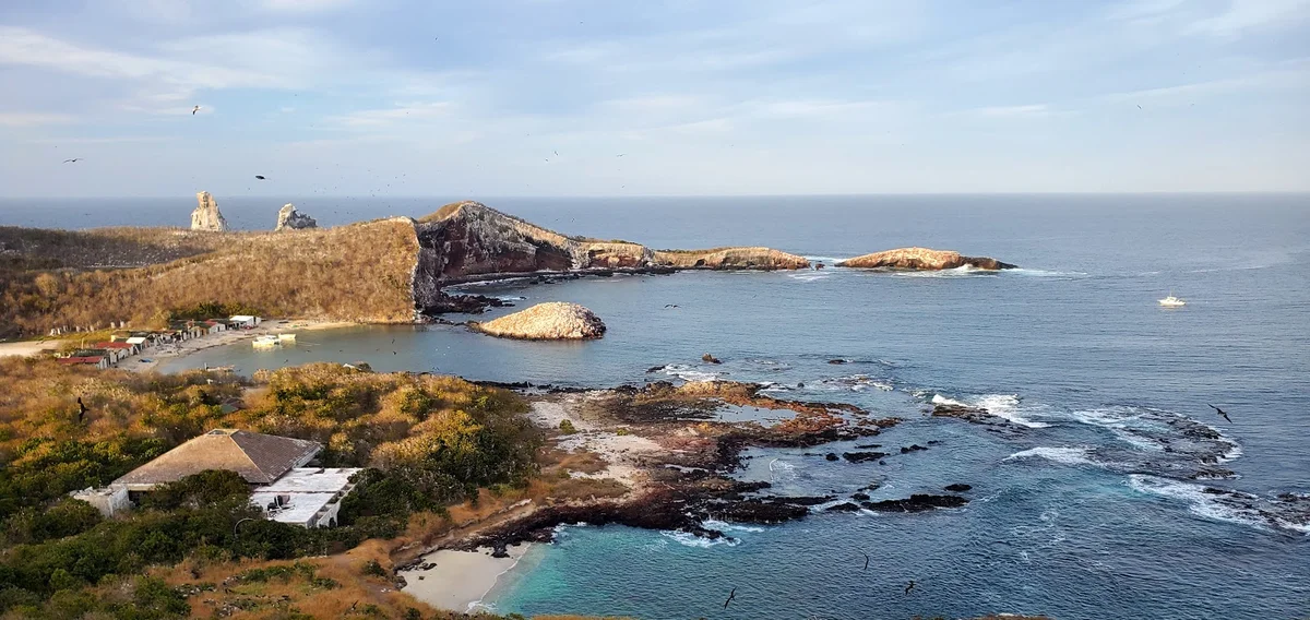 Parque Nacional Isla Isabel in Nayarit - Ask AI | mindtrip
