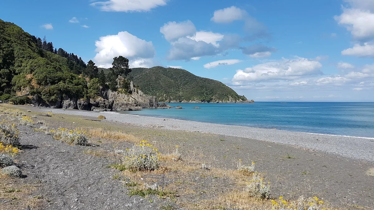 Rarangi Campsite in Tuamarina - Ask AI | mindtrip