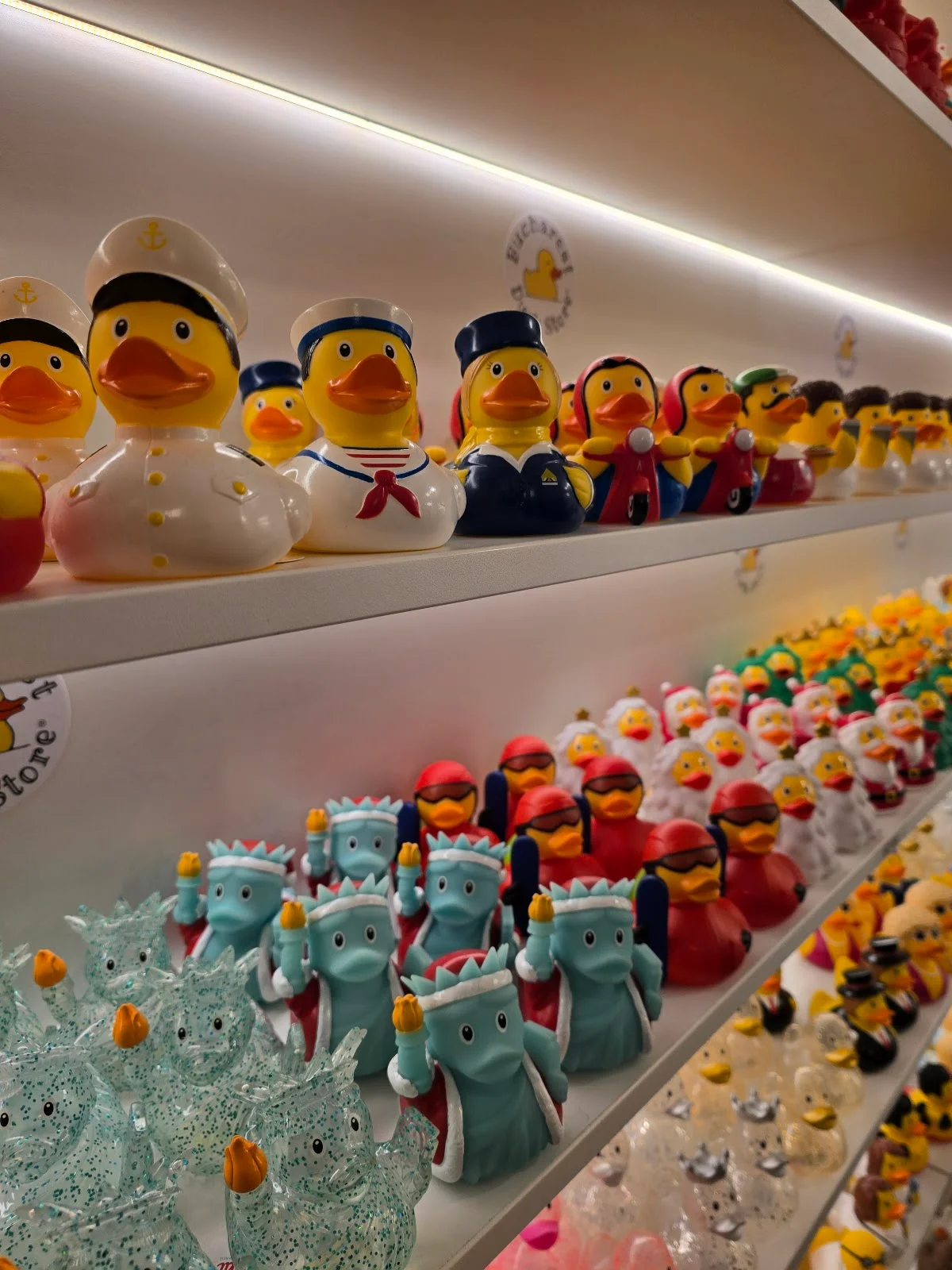 Bucharest Duck Store in Bucharest - Ask AI | mindtrip