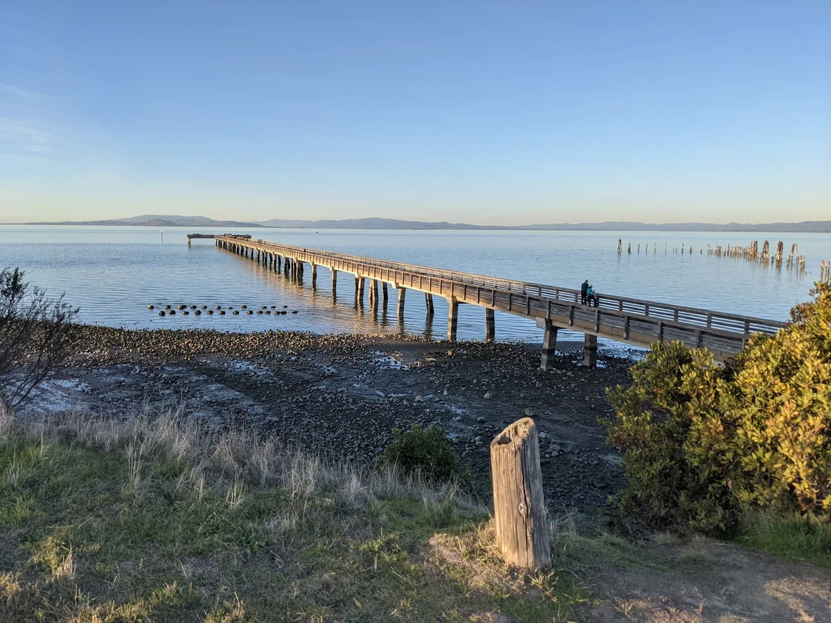 Point Pinole Regional Shoreline - Ask AI | mindtrip