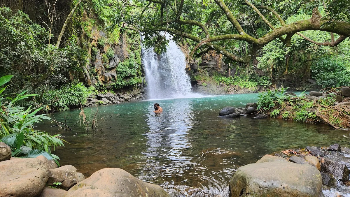 Minissy Waterfall in Moka, Moka District - Ask AI | mindtrip